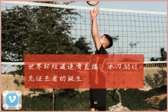 世界杯短道速滑直播：冰刀划过，见证王者的诞生