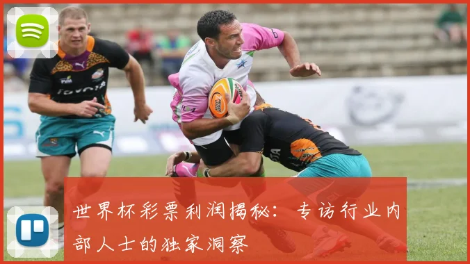 世界杯彩票利润揭秘:专访行业内部人士的独家洞察