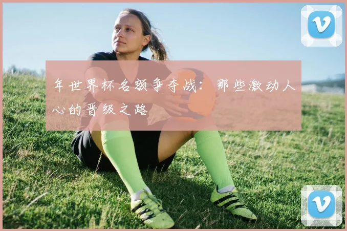 年世界杯名额争夺战:那些激动人心的晋级之路